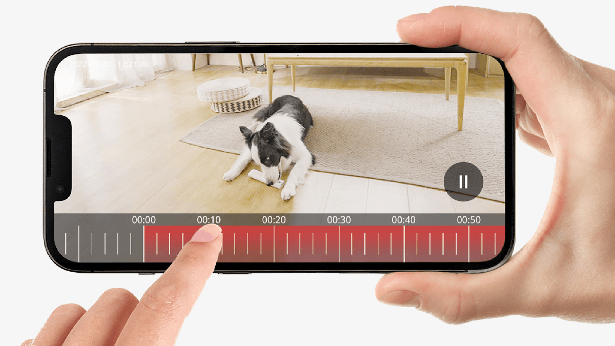 The Best Indoor Camera for Pets